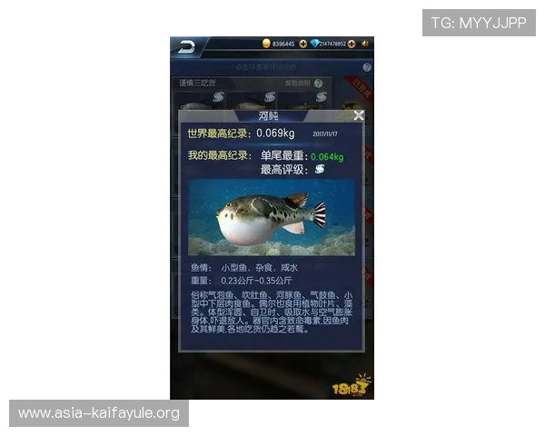 K8捕鱼网安全可靠吗详细评测与用户真实体验分享