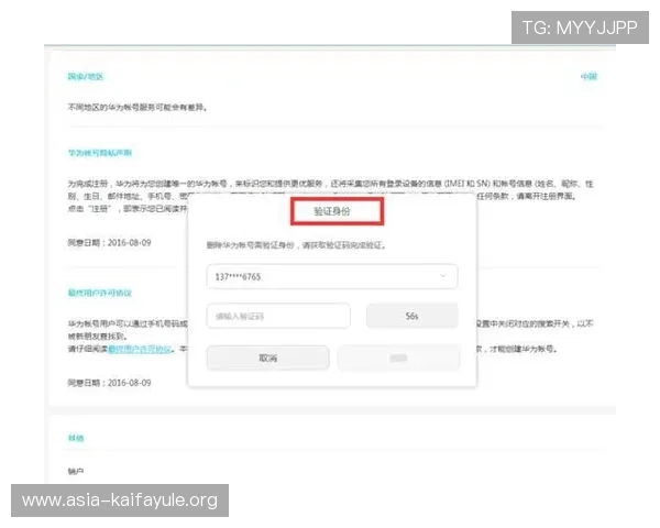 凯发集团网页版登录官网安全登录方法，确保账号信息安全与顺畅体验
